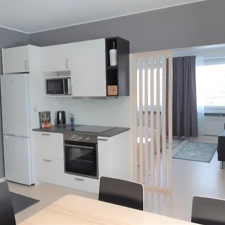 Gallen-kallelankatu 5 Apartment