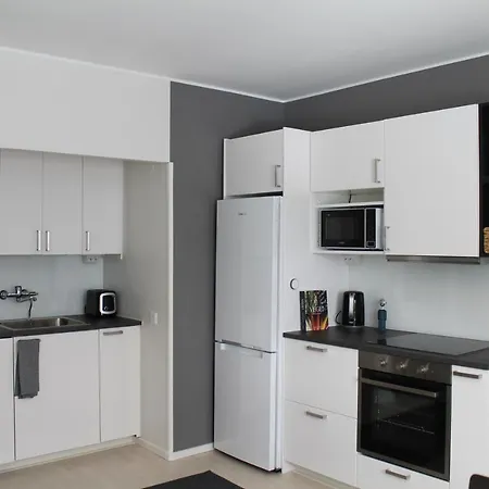 Gallen-kallelankatu 5 *