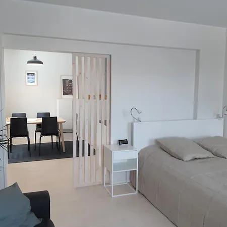 Gallen-kallelankatu 5 Apartment