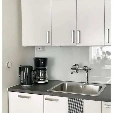 公寓 Gallen-kallelankatu 5 波里